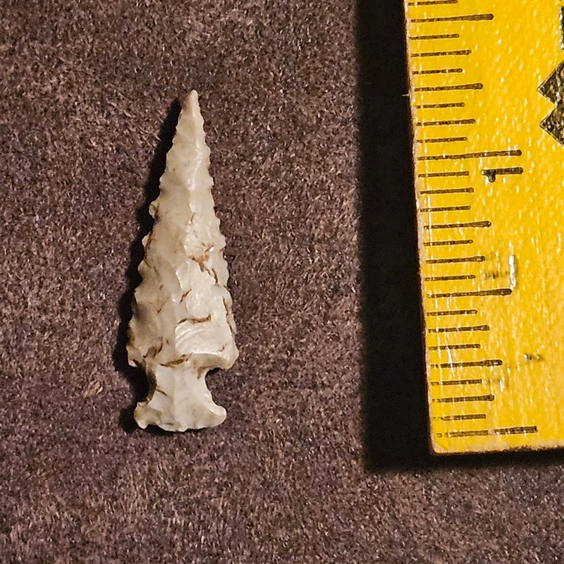 1-3/8&quot; Scallorn Bird Point Arrowhead