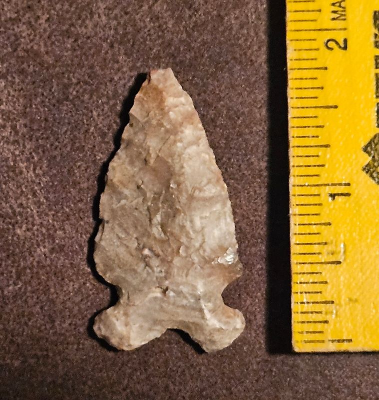 1-3/4&quot;  Rare To Find Hemphill Point Arrowhead Early Archaic