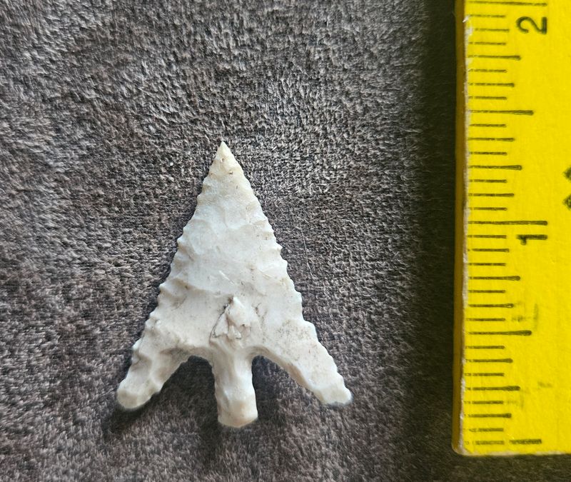 1-3/16&quot; Winged Perdiz Point Arrowhead Brewster County Texas