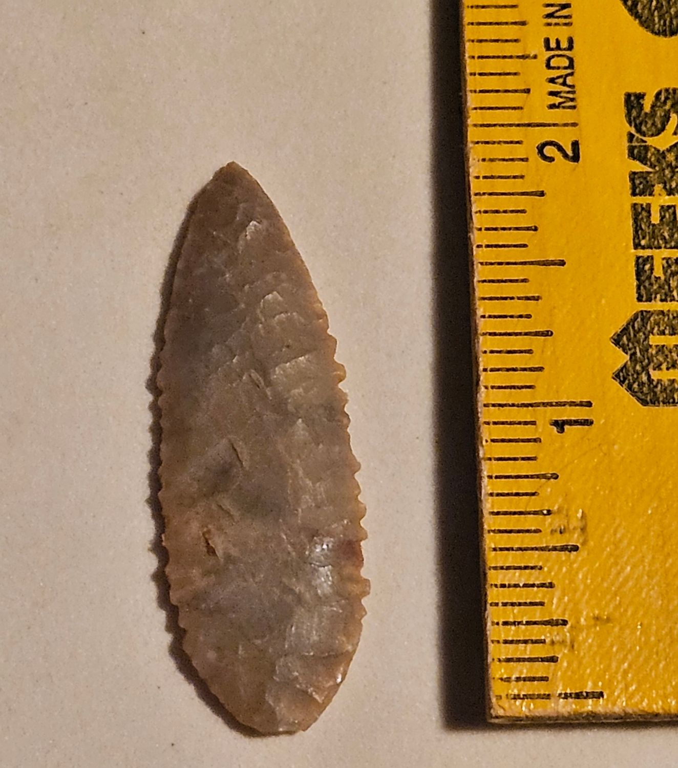 2" Serrated Neolithic Prehistoric Willow Leaf Bird Point Gem Quality Translucent
