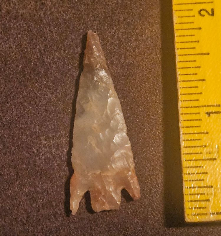 1-3/4" Neolithic Prehistoric Stemmed Barbs Bird Point Gem Quality Translucent