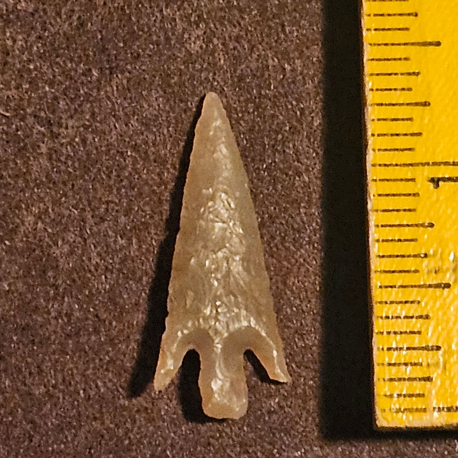 1-3/8" Neolithic Prehistoric Stemmed Barbed Bird Point Gem Quality Translucent