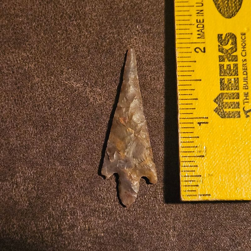 2-1/8" Neolithic Prehistoric Stemmed Barbed Bird Point Gem Quality Translucent