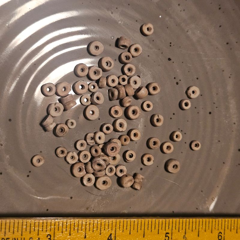 75 Prehistoric Native American Stone Or Bone Beads