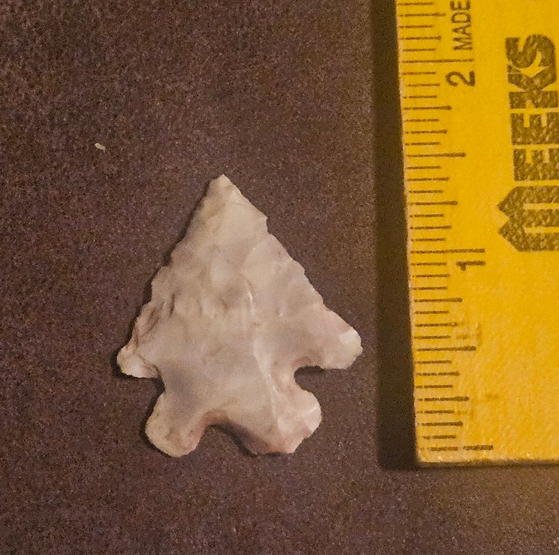 Bifurcate Lecroy Fox Valley Point Ohio