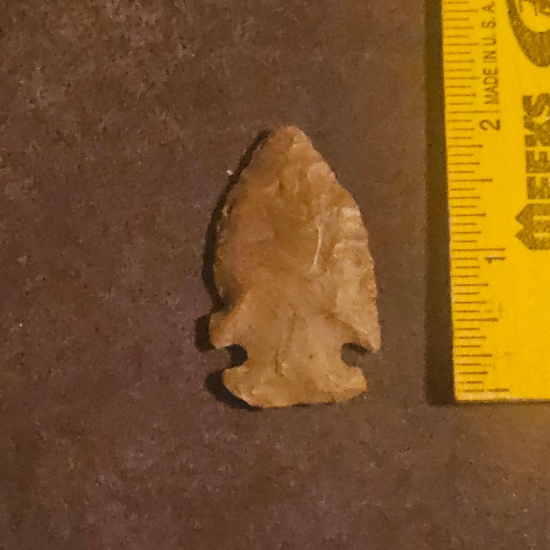 2" St. Charles Dovetail Ohio Arrowhead Early Archaic