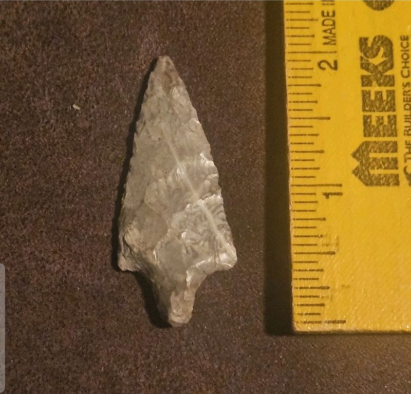 2" Adena Gary Arrowhead Central Missouri