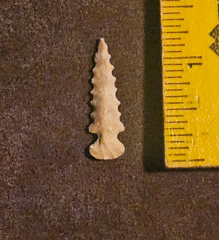 1-1/8" Nice Serrated Sequoyah Birdpoint Arrowhead Southwest Missouri