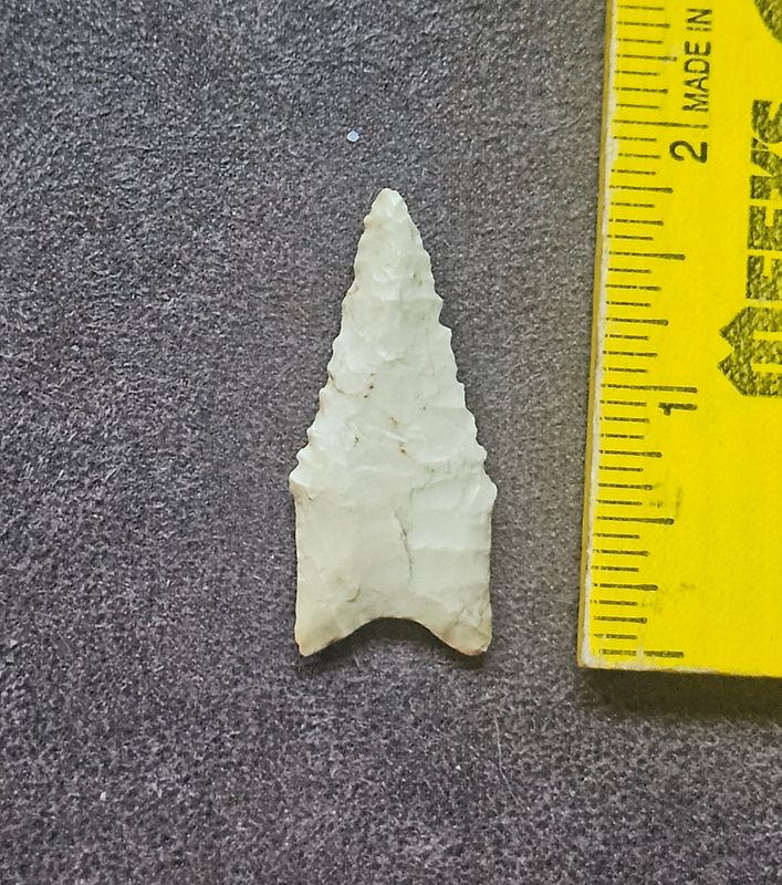 1-11/16" Crowleys Ridge Serrated Dalton Arrowhead Partain COA Clay Co. Arkansas