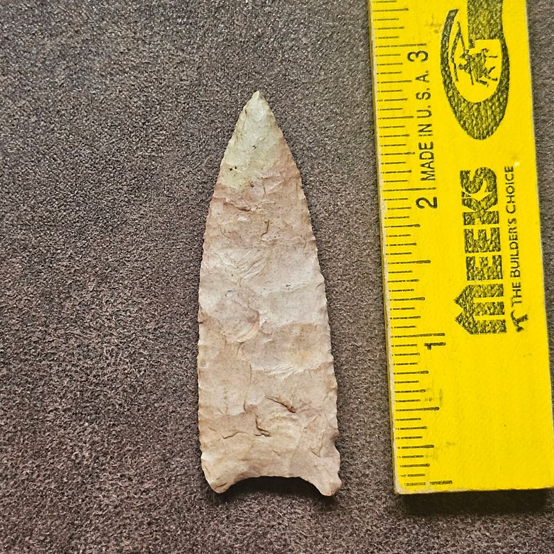 2-3/4" Serrated Dalton Plainview Arrowhead  Arkansas