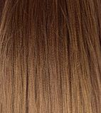 HAZELNUT