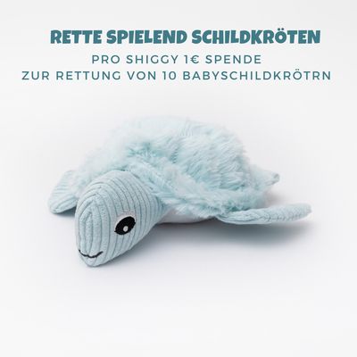 Schildkröte &quot;Shiggy&quot;