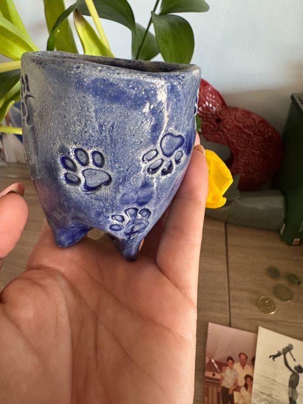 Maceta huellas azul