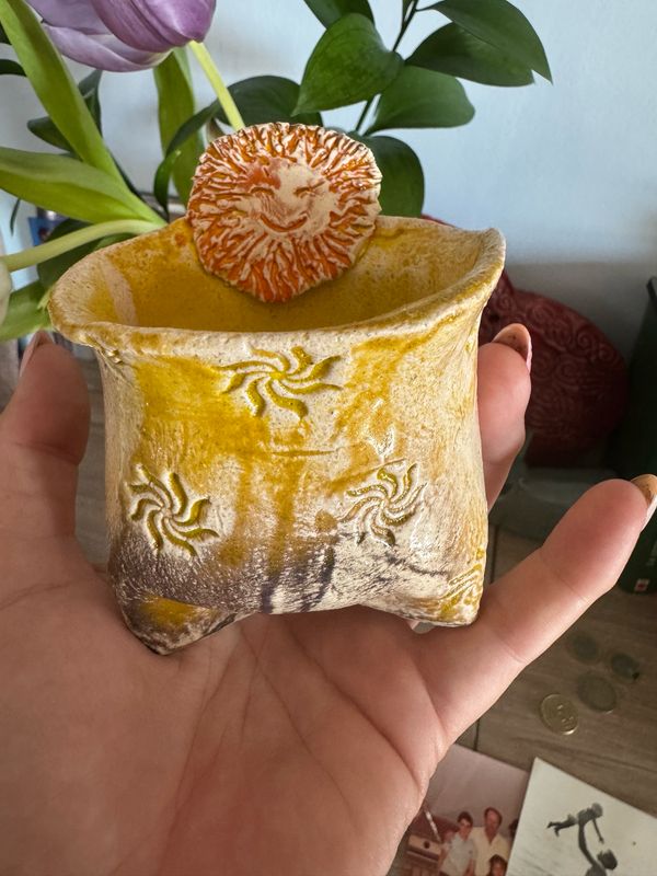 Maceta Rey Sol