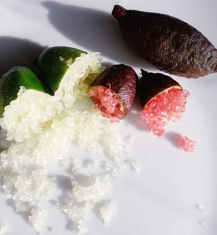 Finger lime Biologico