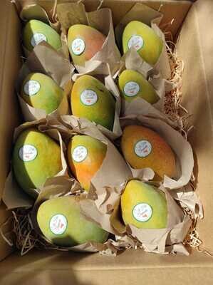 Mango Glenn  Box