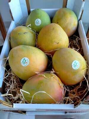 Mango R2E2