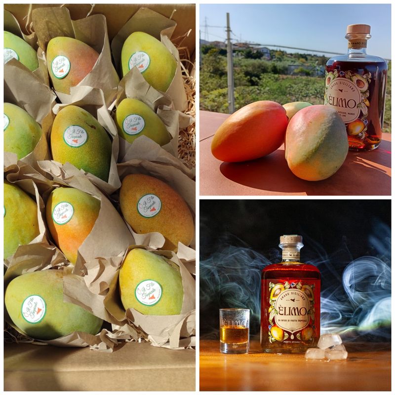 Box 2 Kg mango + Amaro tropicale Èlimo da 70 cl