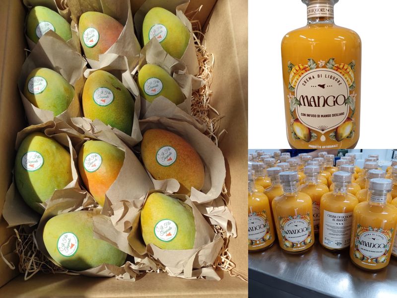 Box 2 kg mango + Crema di liquore al mango