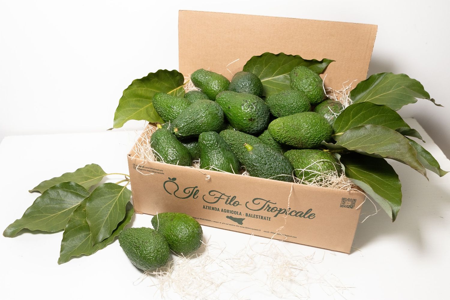 Box Avocado  Bacon/Hass