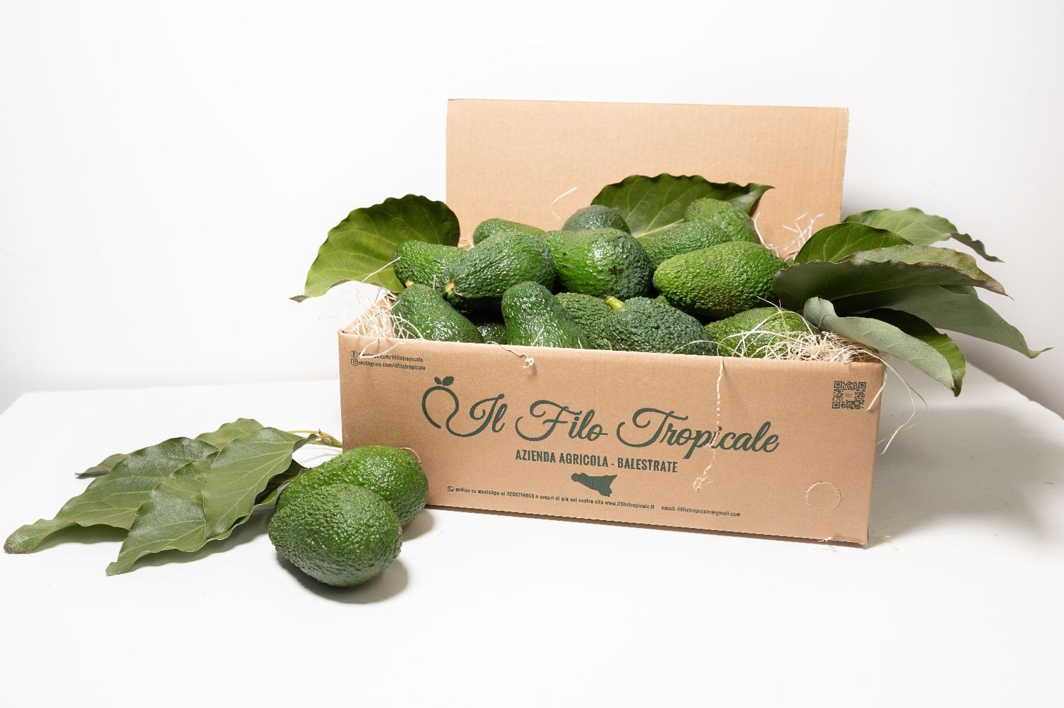 Avocado Baby Avocado Baby