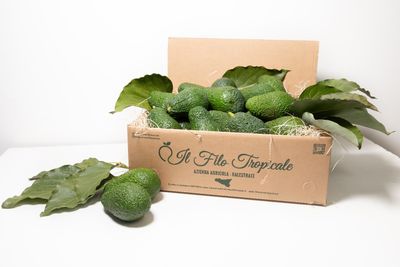 Avocado Baby Avocado Baby