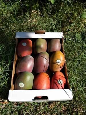 Mango