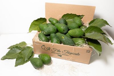 Box Avocado Hass