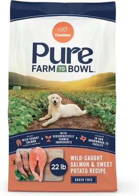 Canidae Pure Real Salmon &amp; Sweet Potato Recipe for Adult Dogs 24 lb #