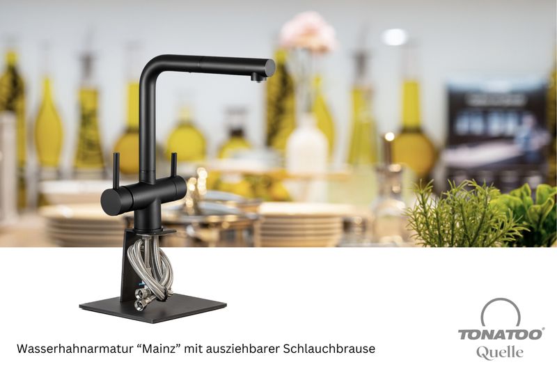 Wasserhahn - Armatur Mainz