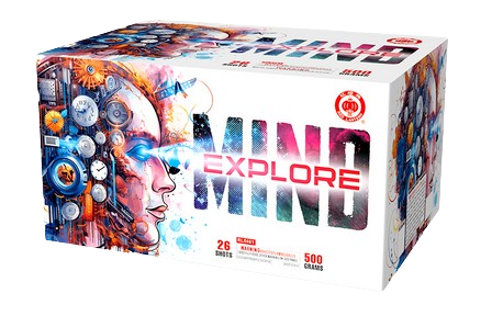 Mind Explore Mind Explore