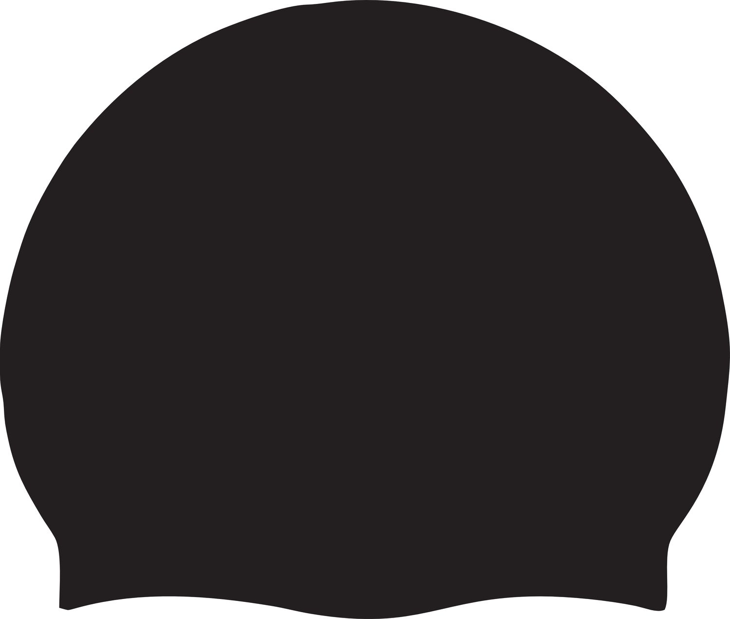 FINIS - Life Time Named Silicone Swim Caps (2 Swim Caps)