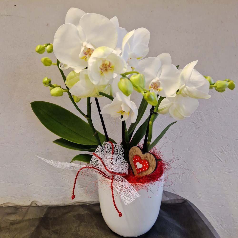 Weisses Orchideenarrangement mit Band und Deko-Herz rot/weiss