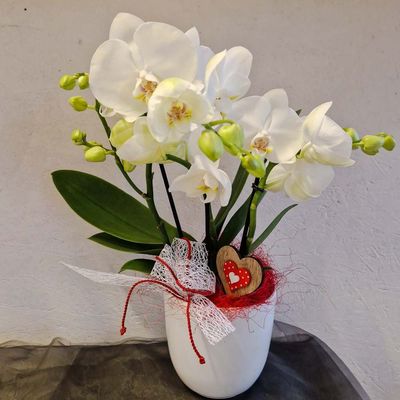 Weisses Orchideenarrangement mit Band und Deko rot/weiss