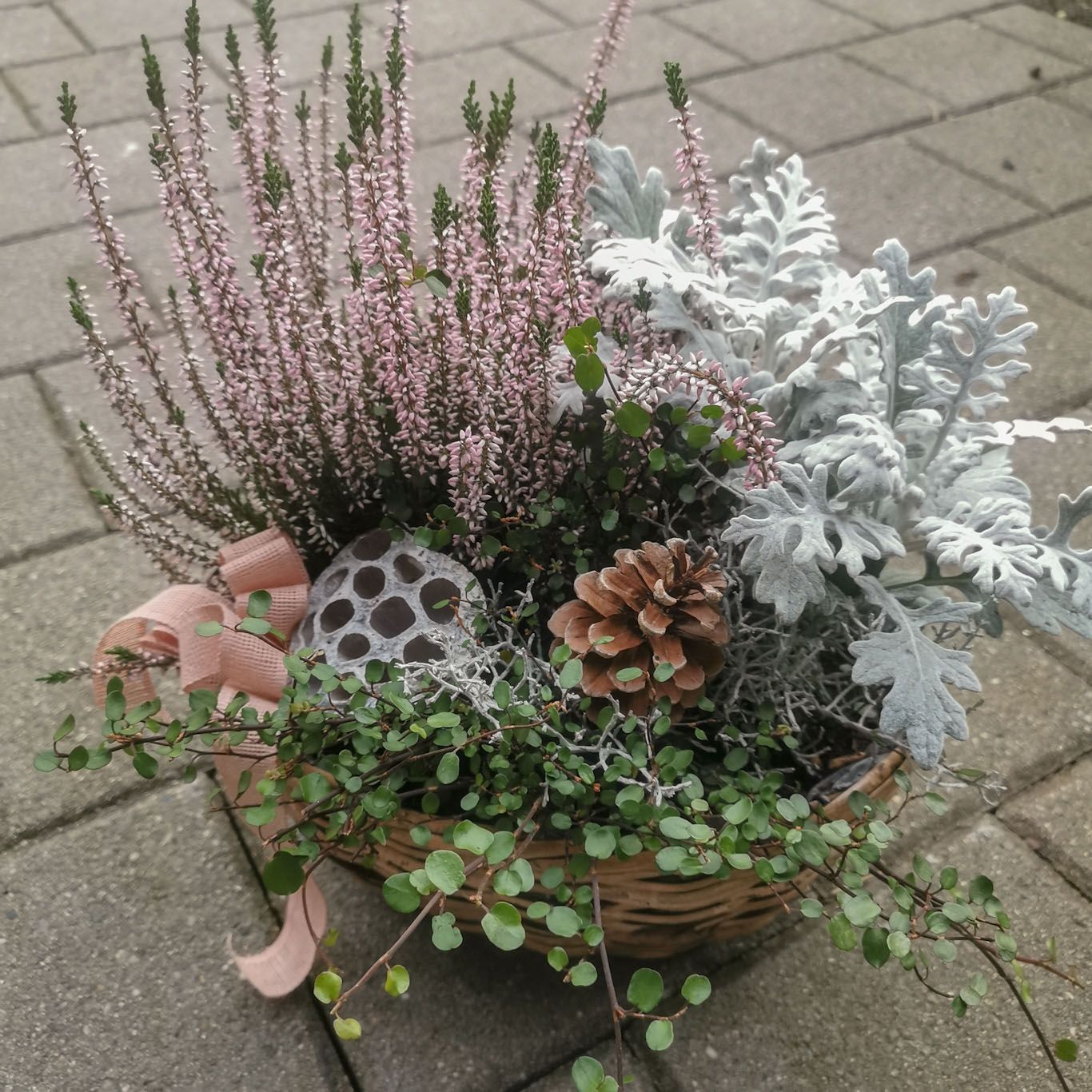 Herbstlich bepflanzter Korb mit Calluna und Silberblatt