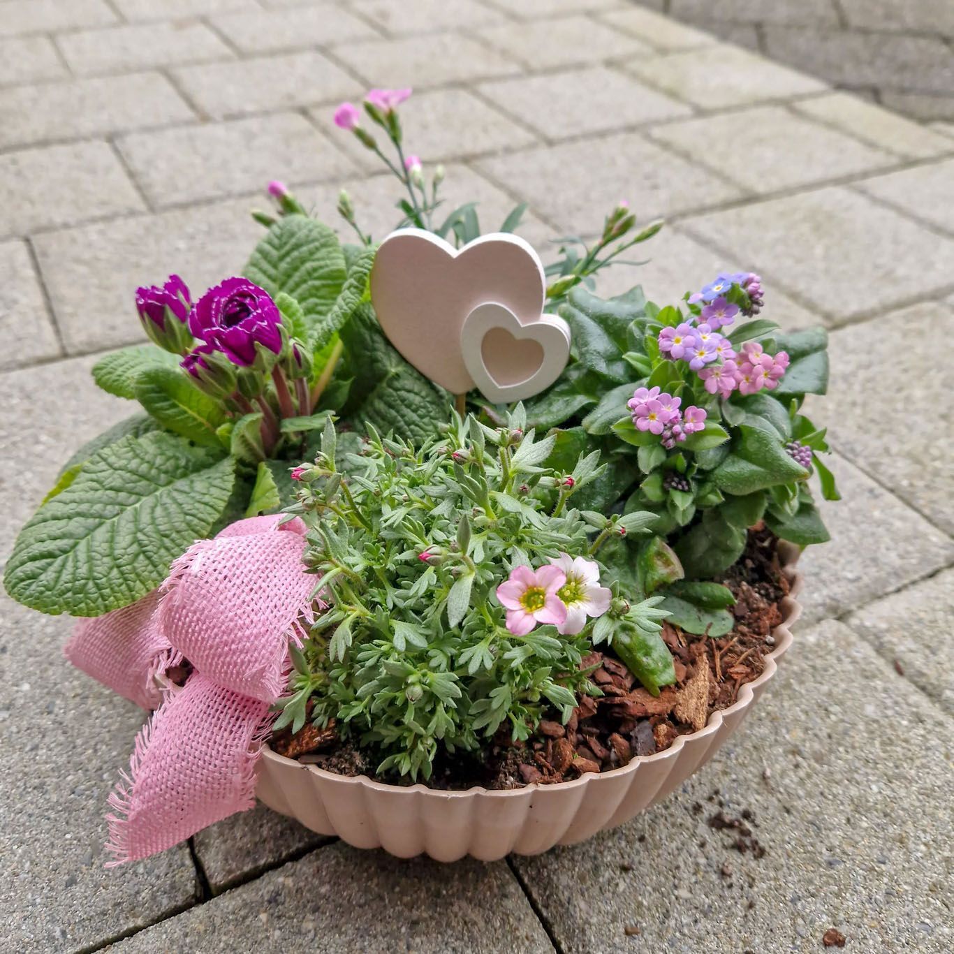 Dezente Bepflanzung in Schale, rosa/lila/weiss, mit Juteband und Deko-Herz