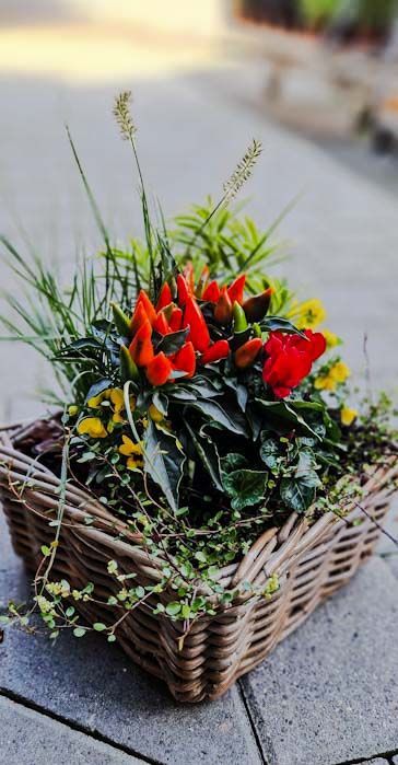 Herbstliches Arrangement, rot/gelb in quadratischem Korb
