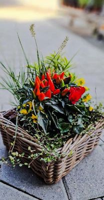 Herbstlich bepflanzter Korb