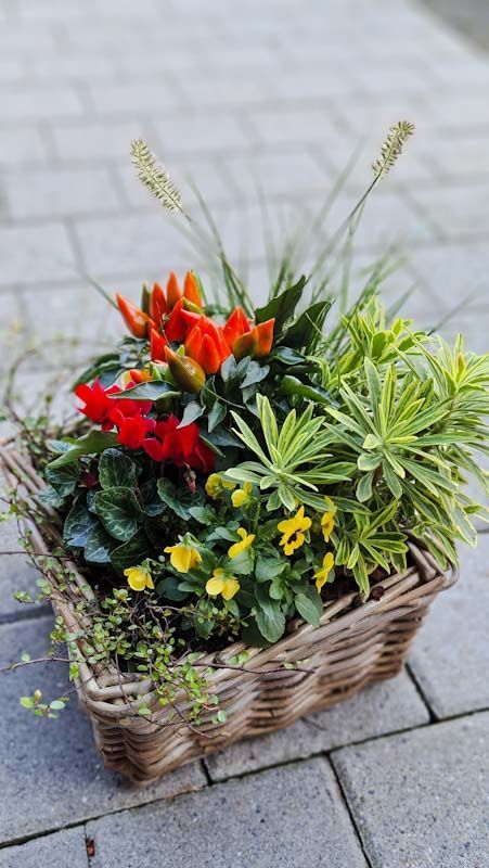 Herbstliches Arrangement, rot/gelb, in quadratischem Korb