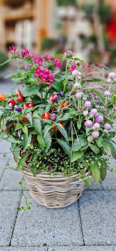 Buntes herbstliches Arrangement in rundem Korb