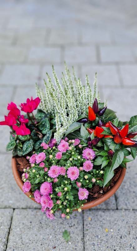 Farbige Herbstschale mit Calluna