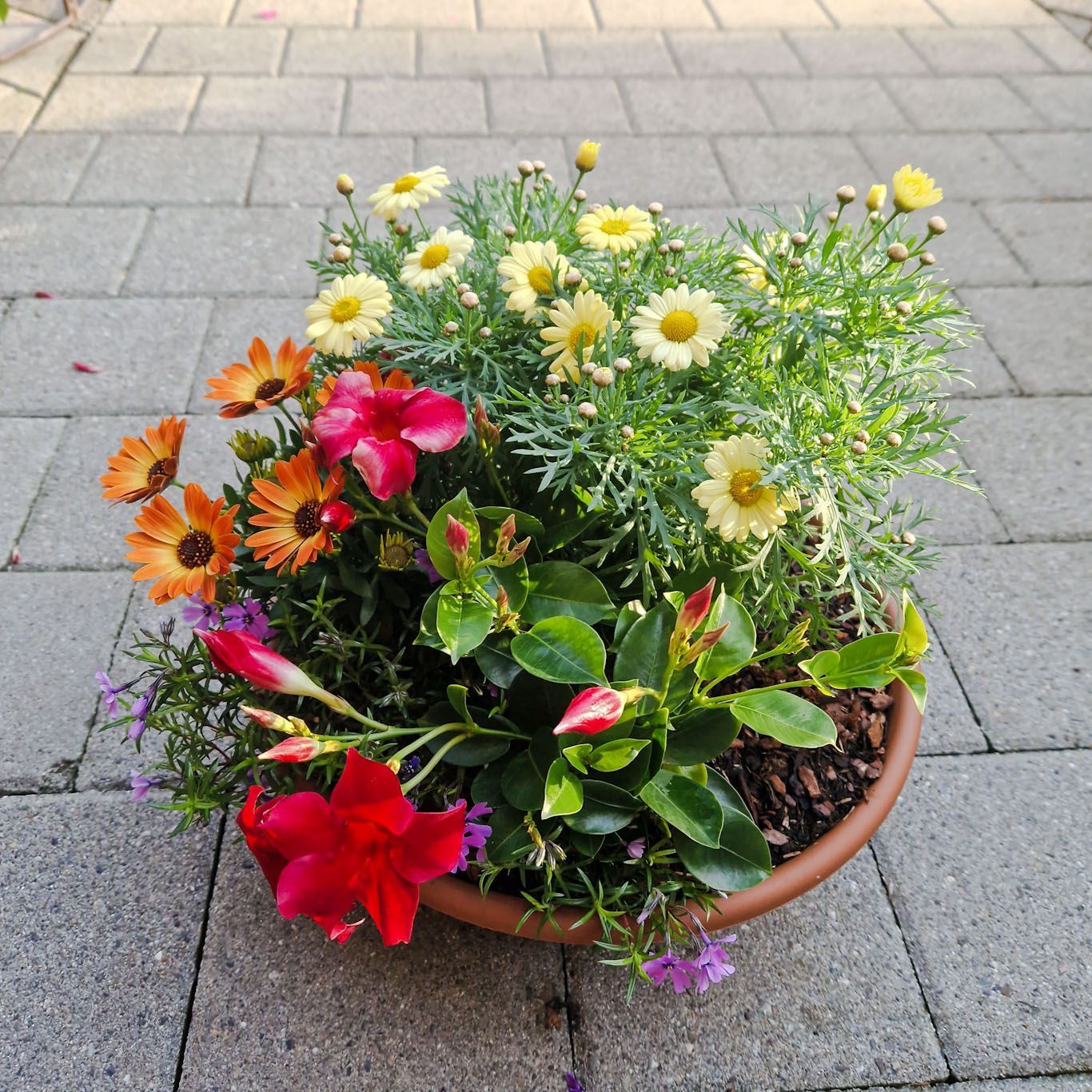 Sommerschale, orange/gelb/rot