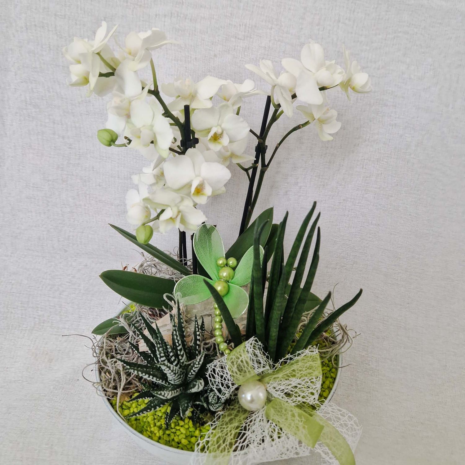 Orchideen-Arrangement mit Grünpflanzen in rundem Topf,  Deko-Libelle und Masche