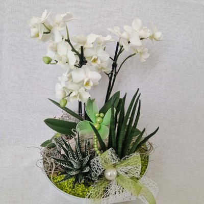Orchideen-Arrangement mit Grünpflanzen in rundem Topf,  Deko-Libelle und Masche