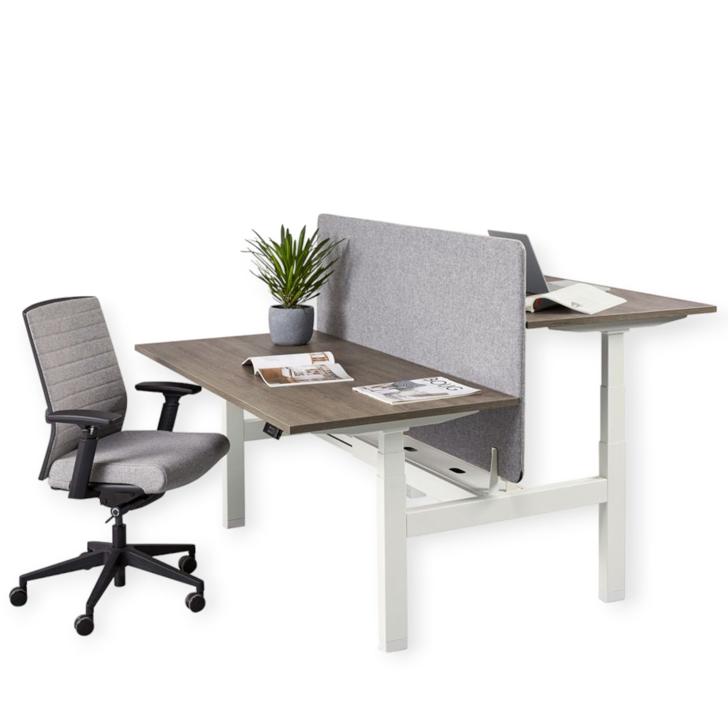 Duo Bench Pro: Elektrisch Verstelbaar Zit/Sta Bureau voor een Ergonomische en Stijlvolle Werkplek