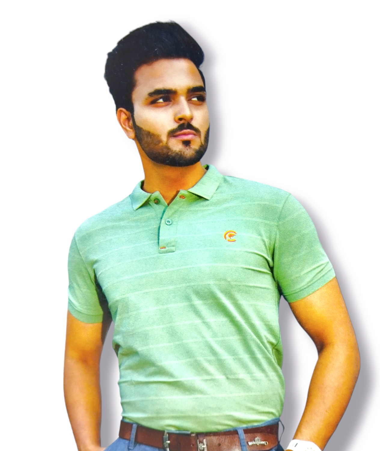AUTO STRIPED SHORT SLEEVE COLLAR T-SHIRT