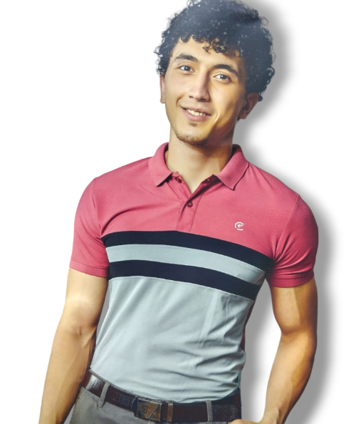 TWO TONE STRIPED SHORT SLEEVE COLLAR T-SHIRT