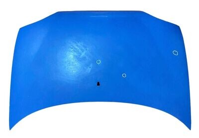 COFANO ANTERIORE (ANT.) FIAT 600 (SEICENTO) 2002 - 46511948