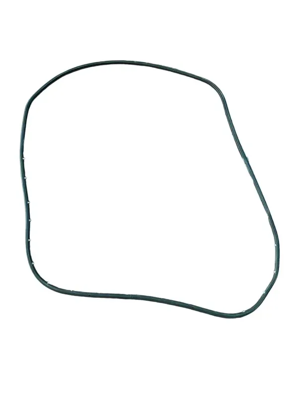 GUARNIZIONE CONTORNO SPORTELLO / PORTA ANT. DX FORD KUGA (I) 2010 - 1761241