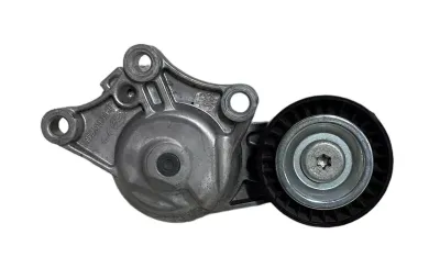 PULEGGIA TENDICINGHIA (CINGHIA SERVIZI) PEUGEOT 308 1.6 D 2015 - 1631481580